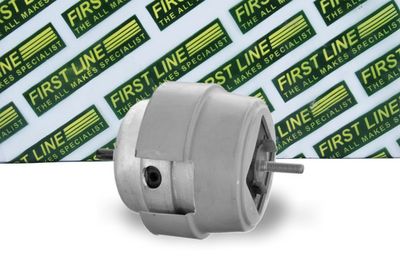 окачване, двигател FIRST LINE FEM4354