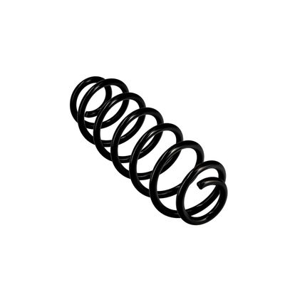ARC SPIRAL EIBACH R10159 11