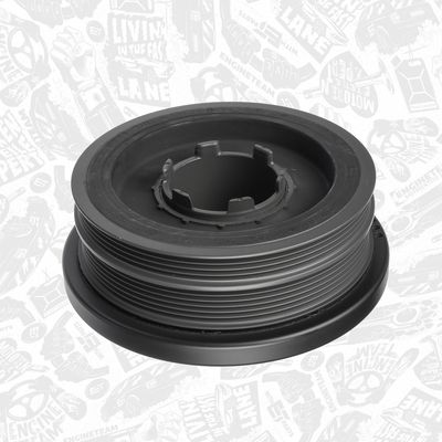 FULIE CUREA ARBORE COTIT ET ENGINETEAM PC0024 4