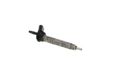 INJECTOR REMANTE 002003001015R 52