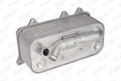 RADIATOR ULEI ULEI MOTOR BIRTH 80783 12