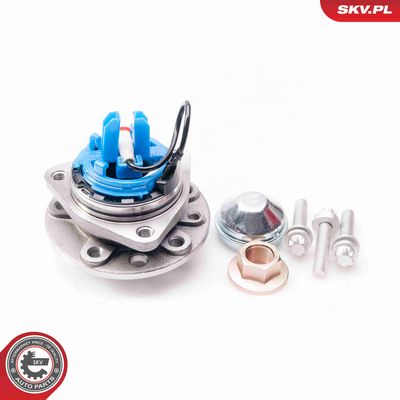 SET RULMENT ROATA ESEN SKV 29SKV035 2