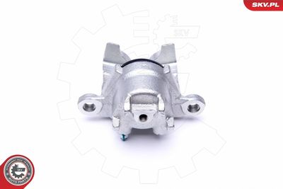 Brake Caliper 46SKV863