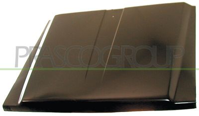 PRASCO DS2693100 PRASCO DS2693100
