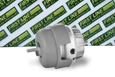 окачване, двигател FIRST LINE FEM4305