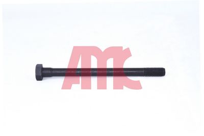 ZYLINDERKOPFSCHRAUBENSATZ AMC 258036 2