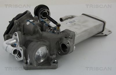 AGR-Ventil TRISCAN 8813 29303