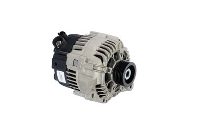 GENERATOR / ALTERNATOR REMANTE 011003000088R 49