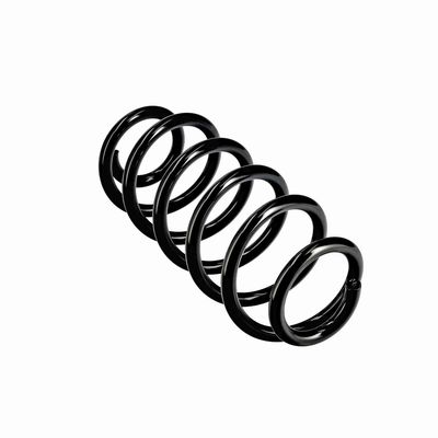 ARC SPIRAL EIBACH R10811 23