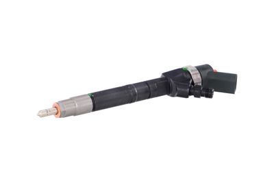 INJECTOR REMANTE 002003001099R 6