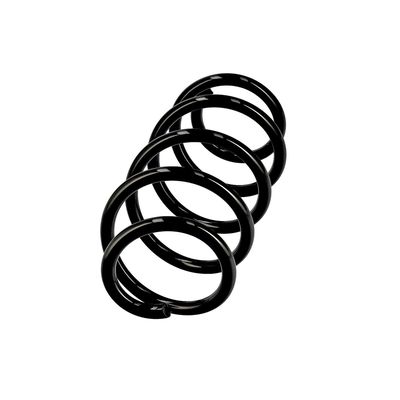 ARC SPIRAL EIBACH R10284 2