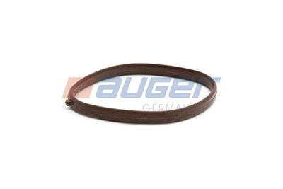 Dichtung, Ansaugkruemmer