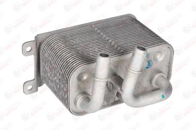 RADIATOR ULEI ULEI MOTOR BIRTH 80261 12