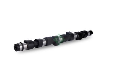 NOCKENWELLE Schaeffler INA 428013910 1