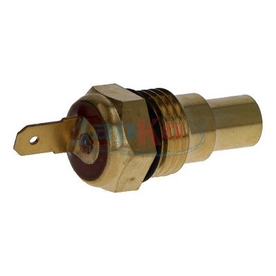 Sensor, Kühlmitteltemperatur
