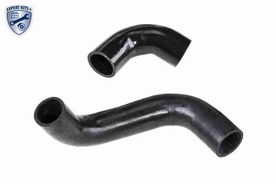 FURTUN EAR SUPRAALIMENTARE