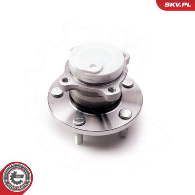 SET RULMENT ROATA ESEN SKV 29SKV079 2