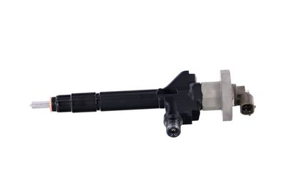 INJECTOR REMANTE 002003000191R 11