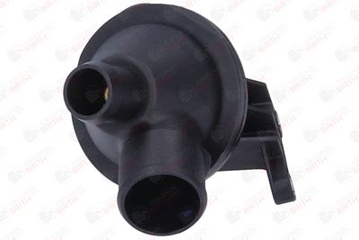 FLANSA LICHID RACIRE BIRTH 81868 3