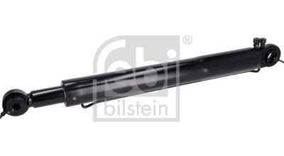 CILINDRU BASCULARE CABINA SOFER FEBI BILSTEIN 101043