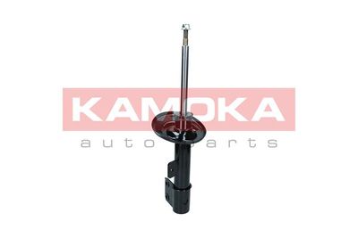 Shock Absorber 2000167