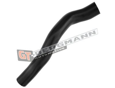 GT-BERGMANN Automotive Kompresoriaus padavimo žarna