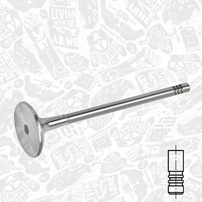 SUPAPA EVACUARE ET ENGINETEAM VE0166 1