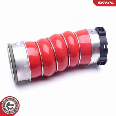 FURTUN EAR SUPRAALIMENTARE ESEN SKV 43SKV219 1