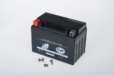 Стартерная аккумуляторная батарея IPSA TMBA51101 для HONDA DN-01