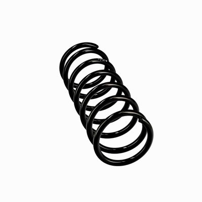 ARC SPIRAL EIBACH R10118 12