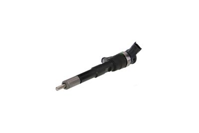 INJECTOR REMANTE 002003001494R 7