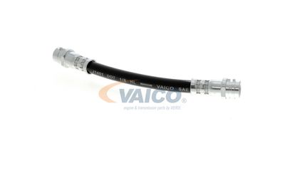 FURTUN FRANA VAICO V104114 29