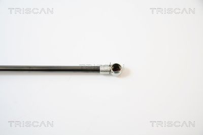 AMORTIZOR PORTBAGAJ TRISCAN 871040226 2