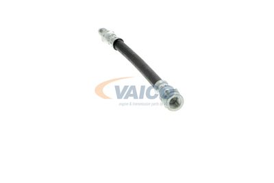 FURTUN FRANA VAICO V249644 11