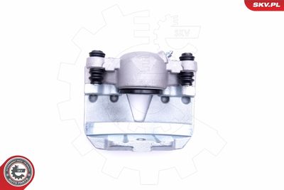 Brake Caliper 46SKV251