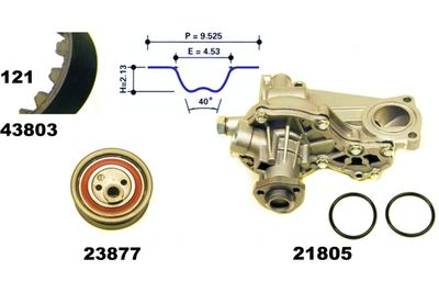 SET POMPA APA + CUREA DINTATA