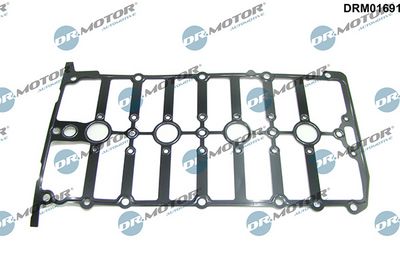 Těsnění, kryt hlavy válce LIZARTE DRM01691