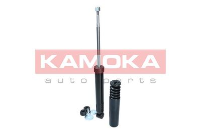 Shock Absorber 2000978