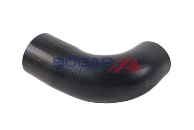 FURTUN EAR SUPRAALIMENTARE BOGAP A1711410 1