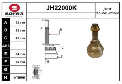 SNRA Homokineet reparatie set, aandrijfas (JH22000K)