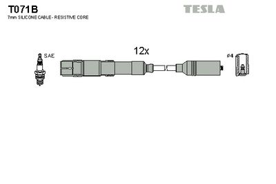 комплект запалителеи кабели TESLA T071B
