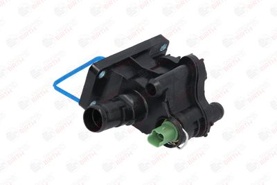 FLANSA LICHID RACIRE BIRTH 8910 12