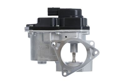 EGR Valve 700424