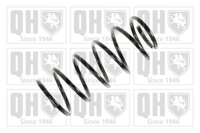 QUINTON HAZELL QCS5953 Пружина подвески  для OPEL (Опель)