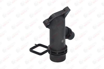 FLANSA LICHID RACIRE BIRTH 81035 12