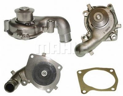 WILMINK GROUP WG2181338 Помпа (водяной насос)  для FORD ORION (Форд Орион)