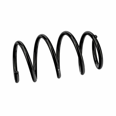 ARC SPIRAL EIBACH R19597 6