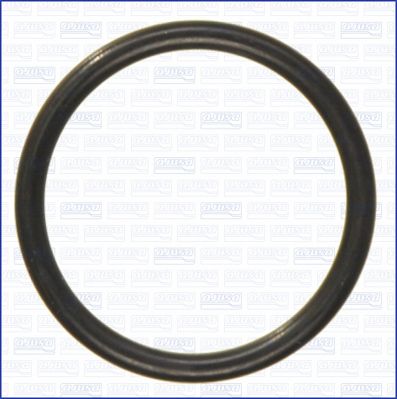 Уплотнительное кольцо, трубка нагнетаемого воздуха AJUSA 16020100 для NISSAN PRAIRIE