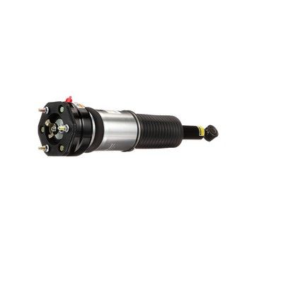 BRAT ARC PNEUMATIC Arnott AS3074 25
