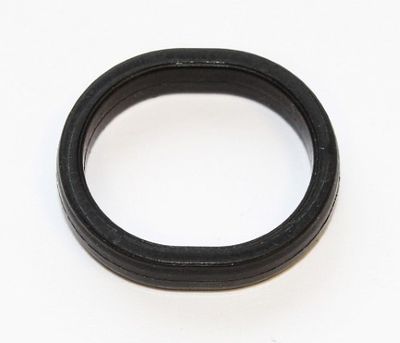 Dichtring